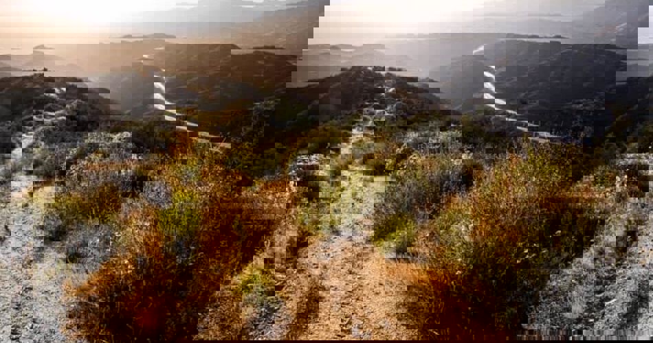 Webp.Net Resizeimage 2019 04 04T114225.698